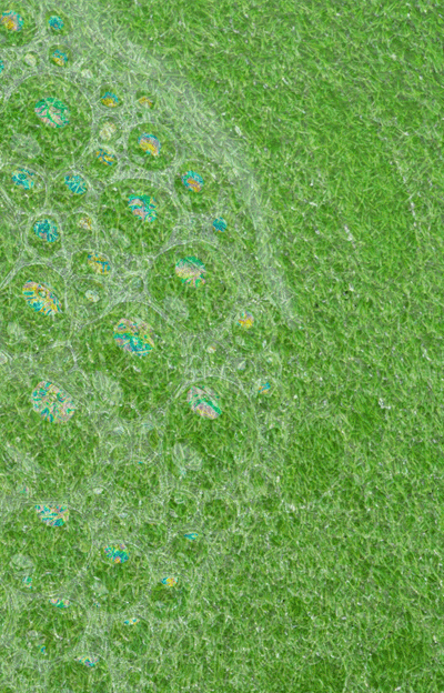 Sanitization-and-Deodorization