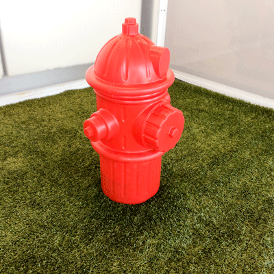 pet-odor-stan-removal-turf-cleaning